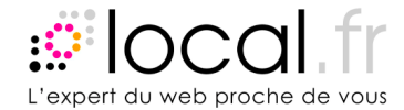 Logo pour local.fr avec des graphiques à points colorés formant la lettre l et le slogan L’expert du web proche de vous écrit en dessous en français.